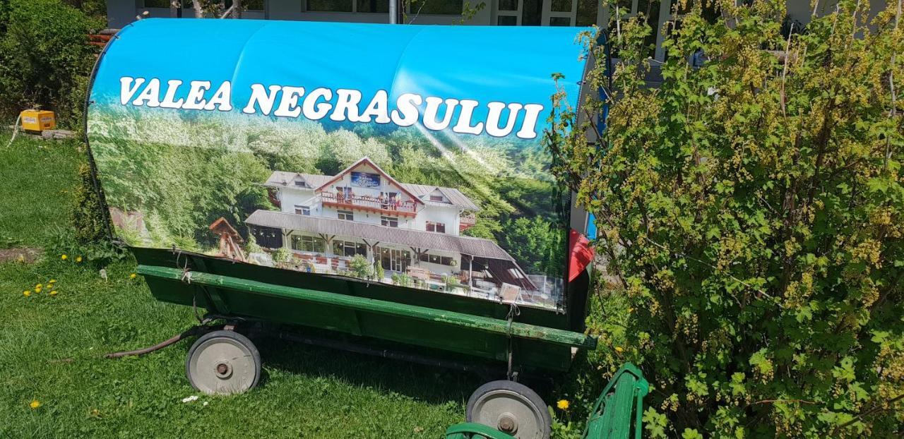 Pensiunea Valea Negrasului Trăisteni Eksteriør billede